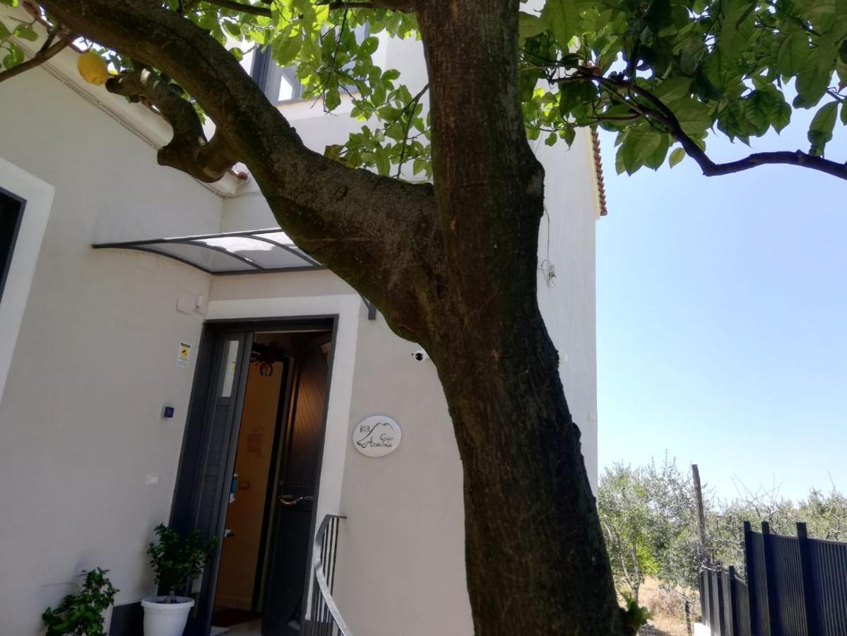 B&B Guest Armonie Τόρρε ντελ Γκρέκο Εξωτερικό φωτογραφία