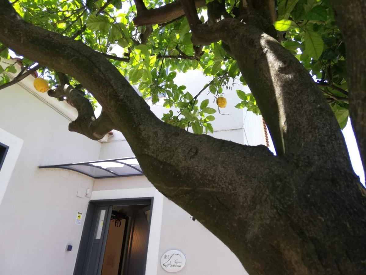 B&B Guest Armonie Τόρρε ντελ Γκρέκο Εξωτερικό φωτογραφία