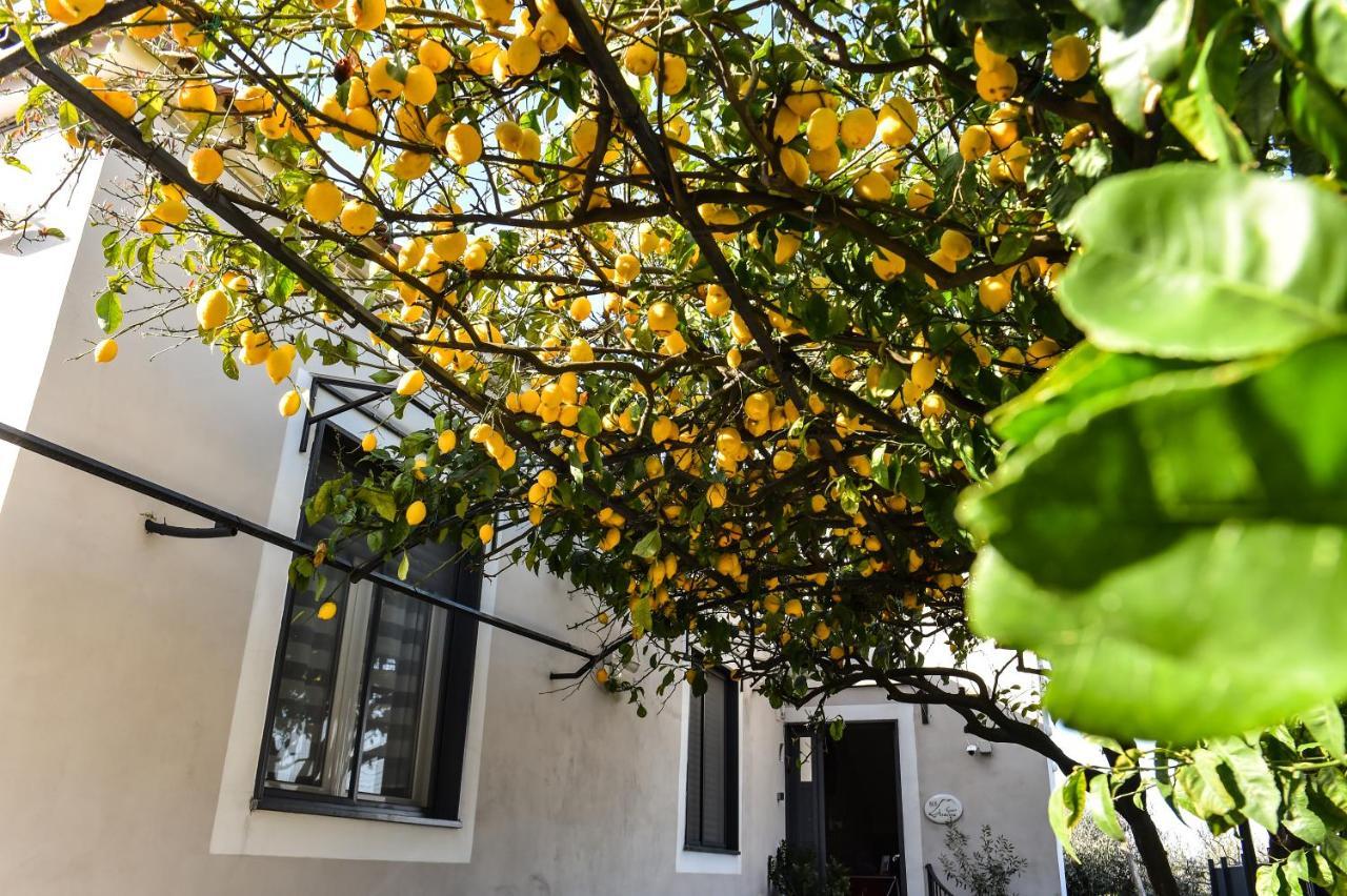 B&B Guest Armonie Τόρρε ντελ Γκρέκο Εξωτερικό φωτογραφία