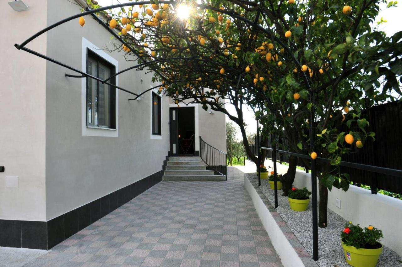 B&B Guest Armonie Τόρρε ντελ Γκρέκο Εξωτερικό φωτογραφία