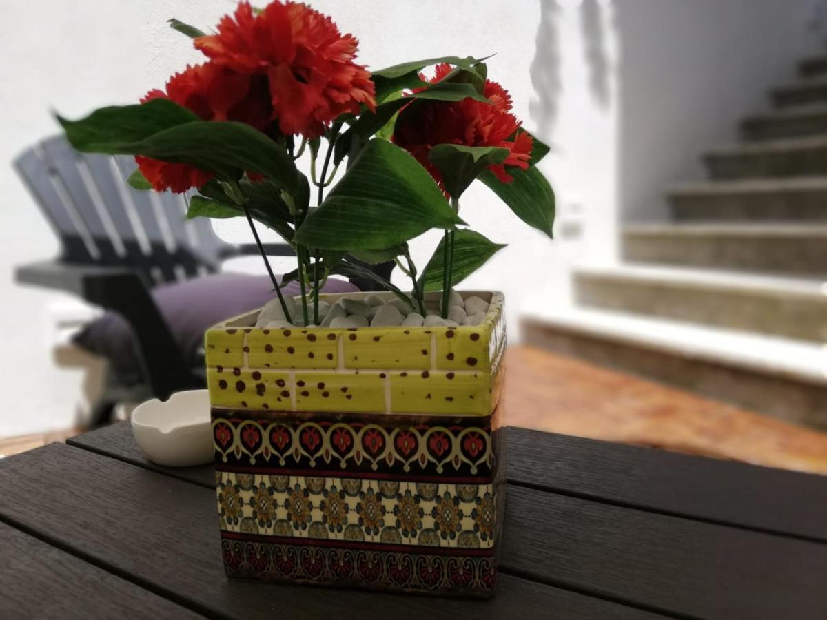 B&B Guest Armonie Τόρρε ντελ Γκρέκο Εξωτερικό φωτογραφία
